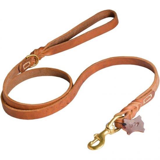 best leather leash