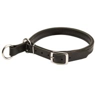 All Weather Nylon Swiss Mountain Dog Collar with ID Patches [C48##1116  Nylon Collar] : Swiss Mountain Dog Breed: Dog Harness, Muzzle, Collar, Leash,  Dog Supplies