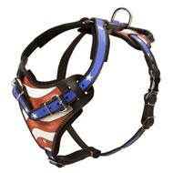 Royal Design Leather Swiss Mountain Dog Harness with Brass Studs [H11##1116  Leather harness with Y-shaped chest plate&studs] : Swiss Mountain Dog  Breed: Dog Harness, Muzzle, Collar, Leash, Dog Supplies