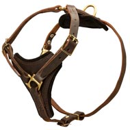 Tracking / Walking dog harness made of leather - H3_1
