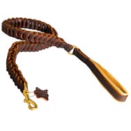 braided leather dog leash