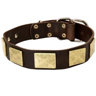 Royal Design Leather Swiss Mountain Dog Harness with Brass Studs