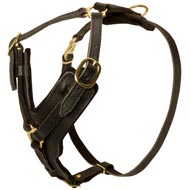 Exclusive Luxury Handcrafted Padded Leather Dog Harness : Mastiff Breed:  Harnesses, Muzzles, Collars, Leashes, Bite Tugs and Toys