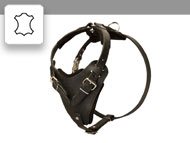 Padded Leather Swiss Mountain Dog Harness for Agitation Training [H10##1116 Leather  harness with Y-shaped chest plate] : Swiss Mountain Dog Breed: Dog Harness,  Muzzle, Collar, Leash, Dog Supplies