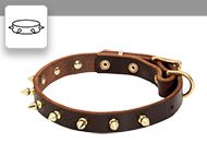 Royal Design Leather Swiss Mountain Dog Harness with Brass Studs [H11##1116  Leather harness with Y-shaped chest plate&studs] : Swiss Mountain Dog  Breed: Dog Harness, Muzzle, Collar, Leash, Dog Supplies