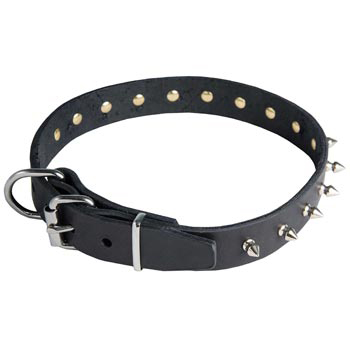 Swiss Mountain Dog Leather Collar with Spikes