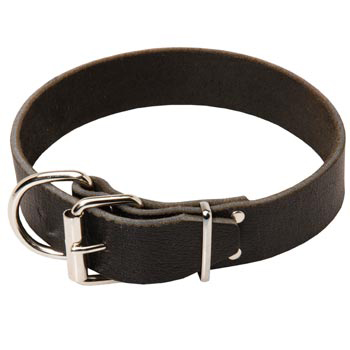 Swiss Mountain Dog Leather Collar