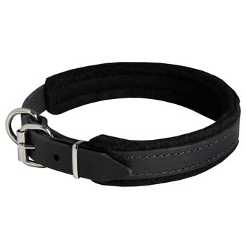 Padded Leather Swiss Mountain Dog Collar Adjustable