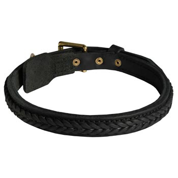 Braided Leather Collar for Swiss Mountain Dog