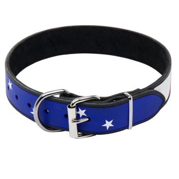 Swiss Mountain Dog Leather Collar With American  Flag Painting