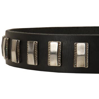 Stylish Leather Collar with Vintage Plates for Swiss Mountain Dog