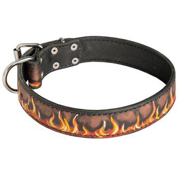 Leather Swiss Mountain Dog Collar Designer for Dog Walking and Training