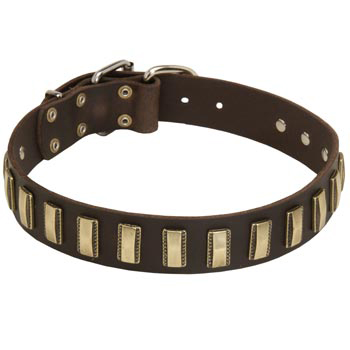 Leather Swiss Mountain Dog Collar Designer for Walking in Style