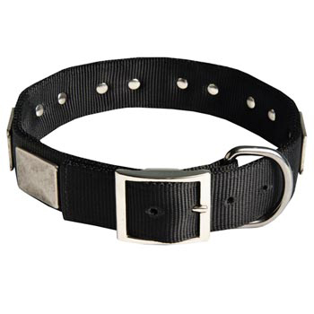 Designer Nylon Dog Collar Wide with Easy Release Buckle for Swiss Mountain Dog