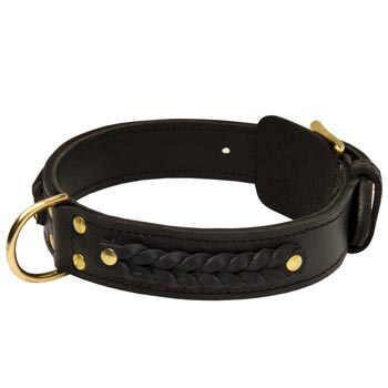 Braided Swiss Mountain Dog Leather Dog Collar 