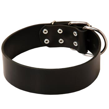Leather Swiss Mountain Dog Collar for Control During Walking