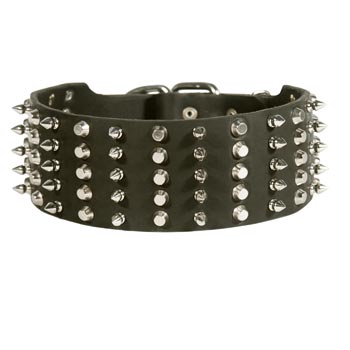 Swiss Mountain Dog Spiked Studded Leather Collar
