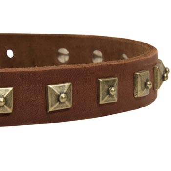 Swiss Mountain Dog Leather Collar With Square  Studs