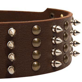 Swiss Mountain Dog Leather Collar with Rust-proof Fittings