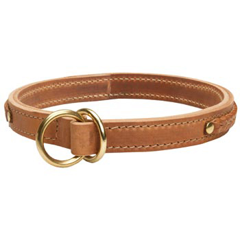  2 Ply Leather Choke Collar for Swiss Mountain Dog
