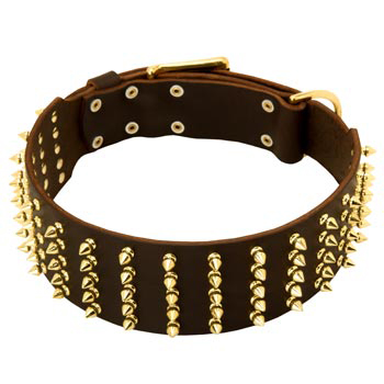 Fashionable Spiked Leather Swiss Mountain Dog Collar