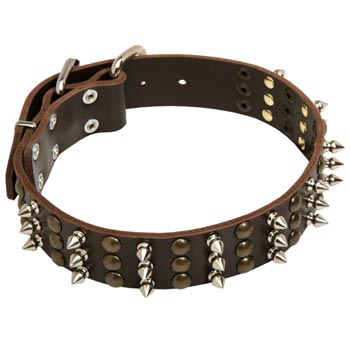 Swiss Mountain Dog Handmade Leather Collar 3 Studs and Spikes Rows