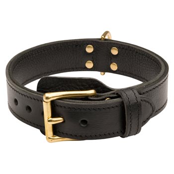 Swiss Mountain Dog  Leather Collar with Easy in Use Buckle