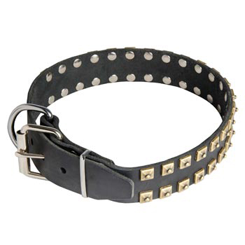 Leather Swiss Mountain Dog Collar with Solid Rivets