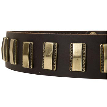 Leather Dog Collar with Adornment for Swiss Mountain Dog