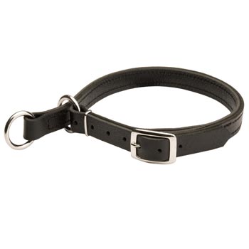 Swiss Mountain Dog Obedience Training Choke  Leather Collar