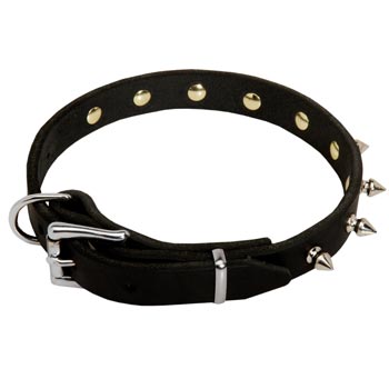 Swiss Mountain Dog Dog Leather Collar Steel Nickel Plated Spikes
