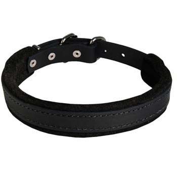 Swiss Mountain Dog Collar Leather for Dog Protection Attack Training