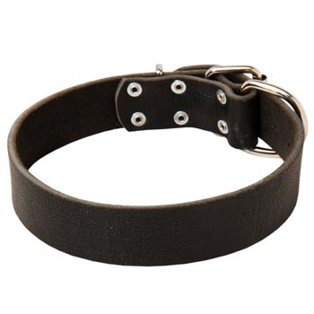 Unbelievable Swiss Mountain Dog Strict Style Leather Dog  Collar