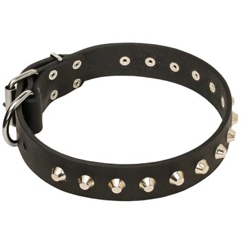 Soft Leather Swiss Mountain Dog Collar with Nickel Studs