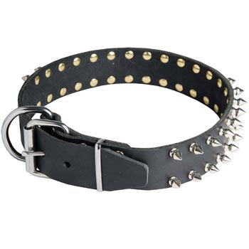 Spiked Leather Dog Collar for Swiss Mountain Dog Fashion Walking