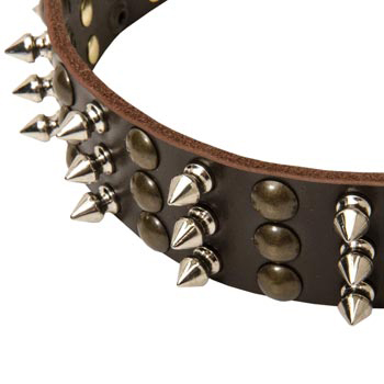 3 Rows of Spikes and Studs Decorative Swiss Mountain Dog Leather Collar