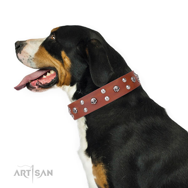 Handy use studded dog collar of reliable natural leather