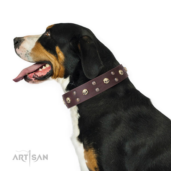 Comfortable wearing decorated dog collar of finest quality leather