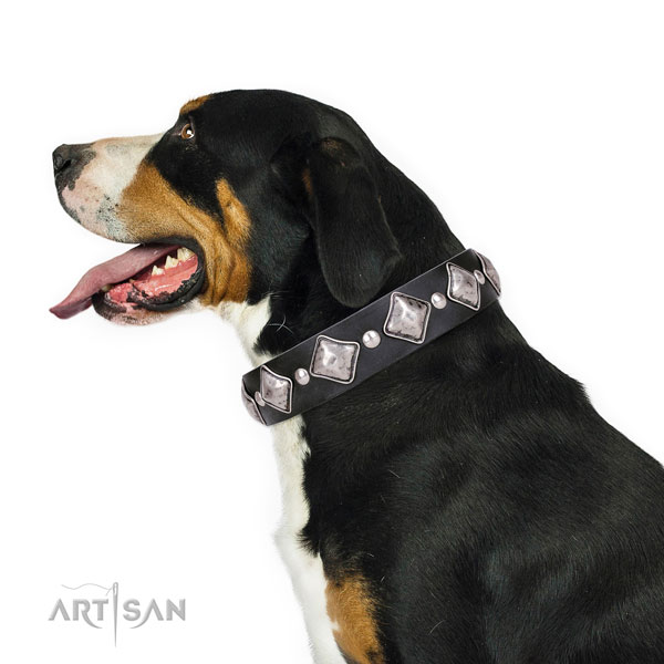 Comfy wearing embellished dog collar of high quality natural leather
