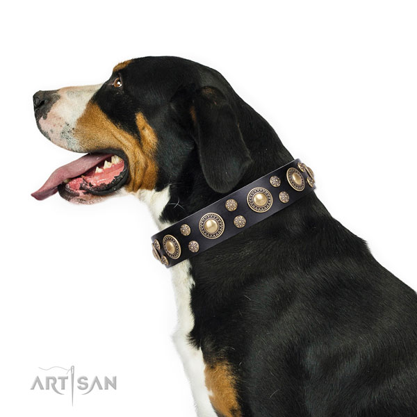 Daily walking adorned dog collar of durable leather