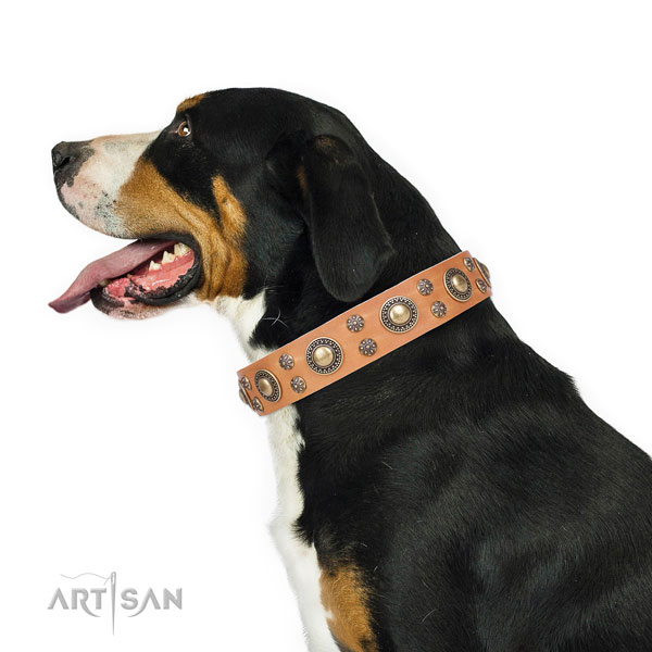 Daily use adorned dog collar of durable material