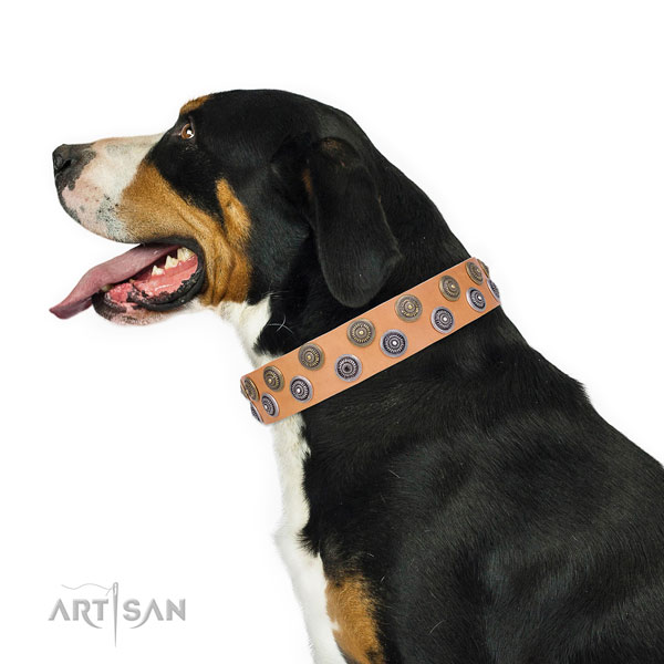 Daily use decorated dog collar of top quality material