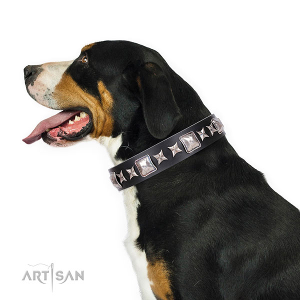 Walking decorated dog collar of durable material