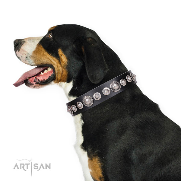 Designer decorated natural leather dog collar for fancy walking