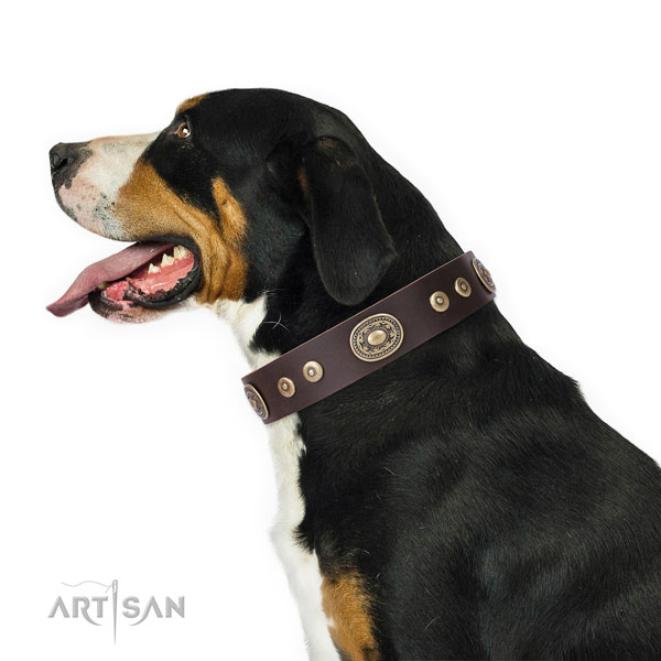 Remarkable embellished natural leather dog collar for fancy walking