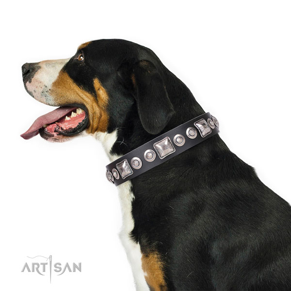 Impressive studded genuine leather dog collar for daily walking