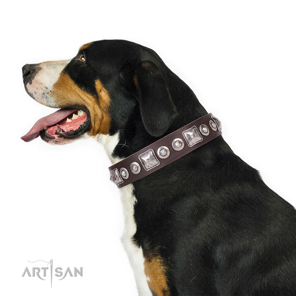 Significant adorned genuine leather dog collar for basic training