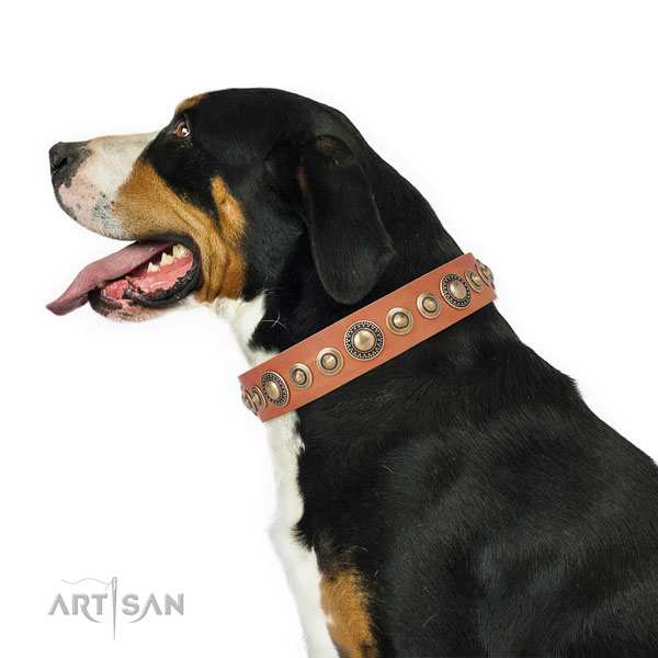 Corrosion resistant buckle and D-ring on full grain leather dog collar for daily use