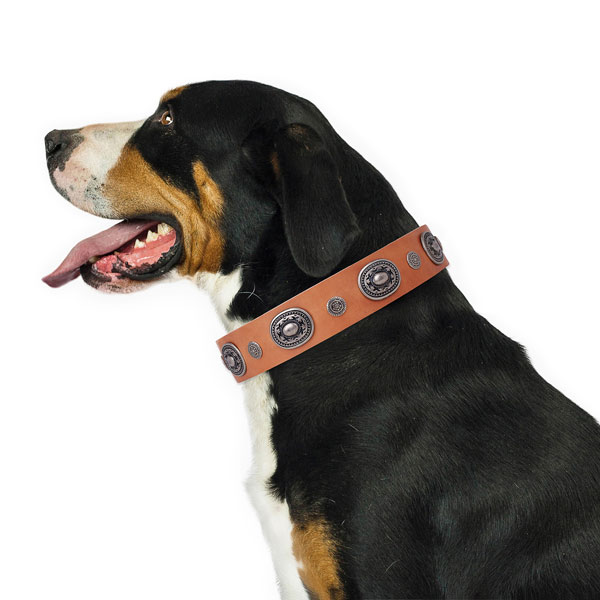 Full grain leather dog collar with corrosion resistant buckle and D-ring for stylish walking