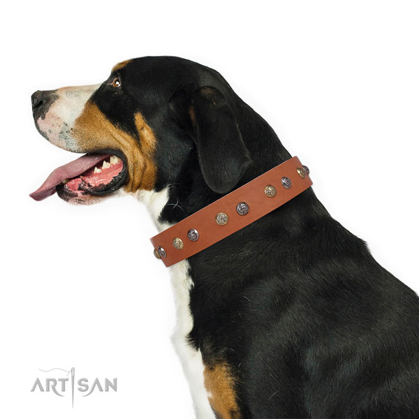 Full grain leather dog collar with corrosion proof buckle and D-ring for daily use